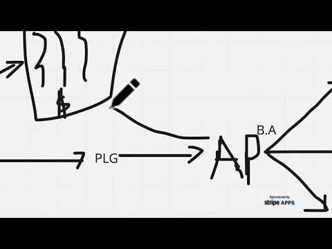 Introduction to Push Lap Growth — Full Platform Overview